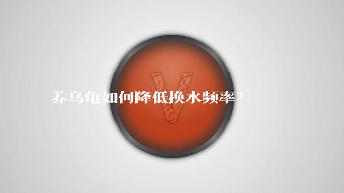 养乌龟如何降低换水频率？