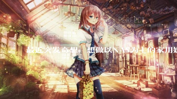 最近突发奇想，想做以NAS为主的家用媒体中心。下面是我做的一个草图，各位大神看看可行吗？